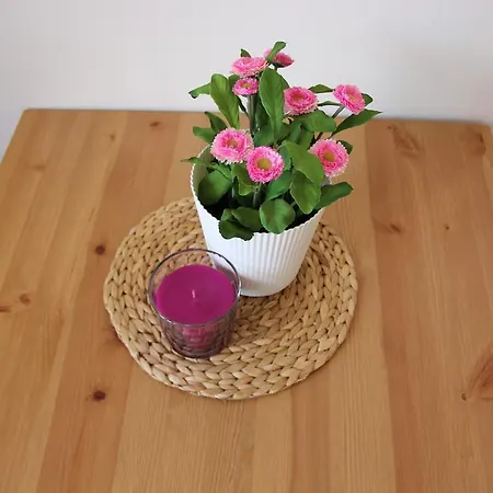 Penthouse With City Terrace Praga