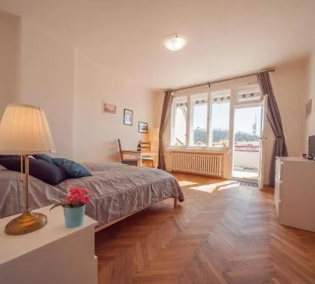 Penthouse With City Terrace Prag
