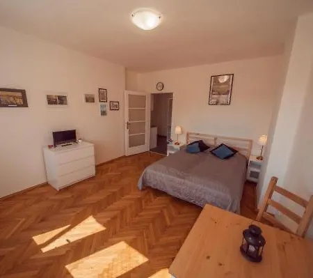 Penthouse With City Terrace Prag