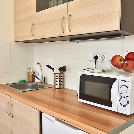 Penthouse With City Terrace Daire *